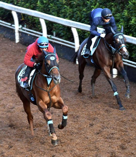 【みやこS】スマハマ2週連続好時計 また自己ベスト更新4F51秒6