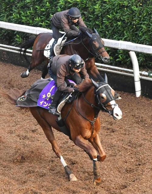 【みやこS】インティ進化 ダートG1春秋制覇へ好発進だ