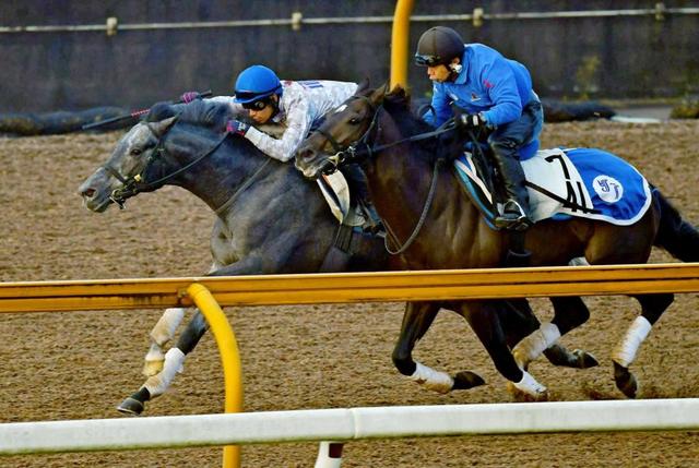 【アルゼンチン共和国杯】アイスバブル変身 昨夏以来の先着に池江師合格点