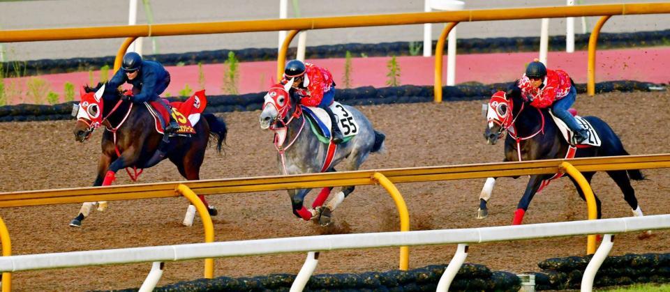 　Ｍ・デムーロを背に完璧な１週前リハを行ったラヴズオンリーユー（左）