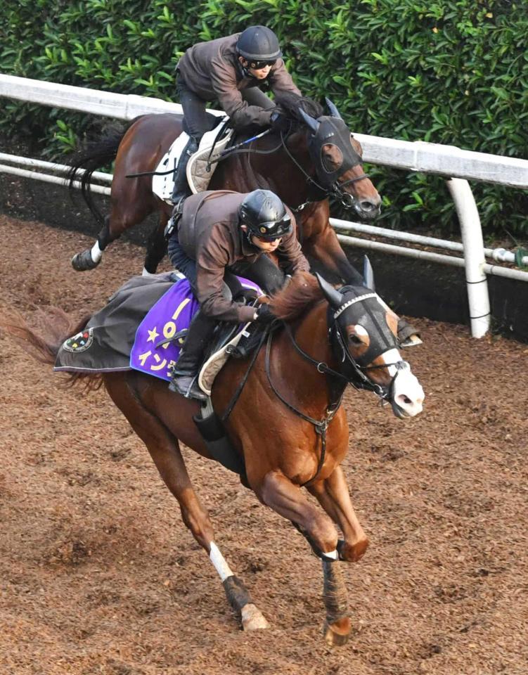 　貫禄の走りで先着を果たしたインティ（手前）