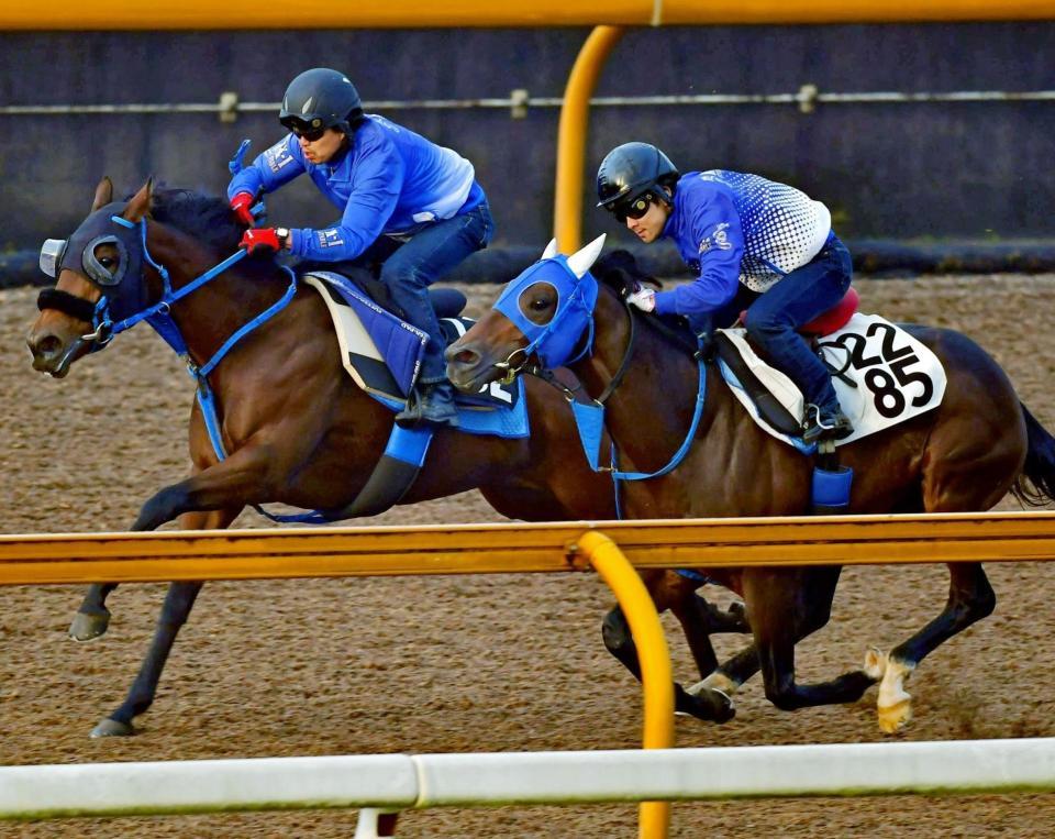 土曜京都の危険な人気馬/競馬・レース/デイリースポーツ online