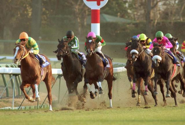 名馬マヤノトップガン死す 坂口正大・元調教師「さみしい」/競馬