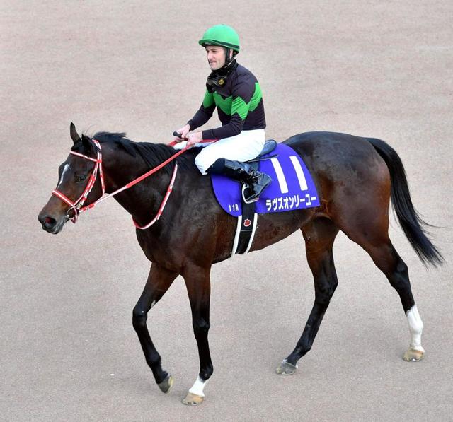 ラヴズオンリーユー次走は香港ヴァーズ ジャパンｃは見送り 競馬 レース デイリースポーツ Online