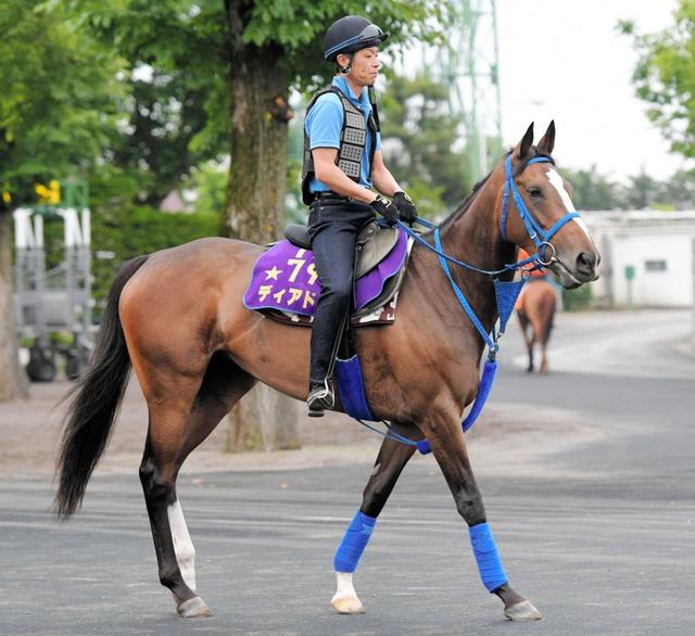 ディアドラ現役続行 世界最高賞金サウジｃの参戦も検討 競馬 レース デイリースポーツ Online