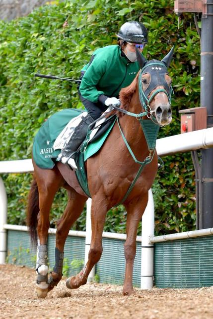 土曜中山の危険な人気馬