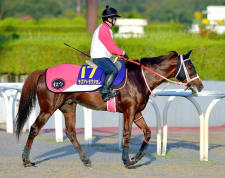 　好ムードを漂わせるモズアトラクション