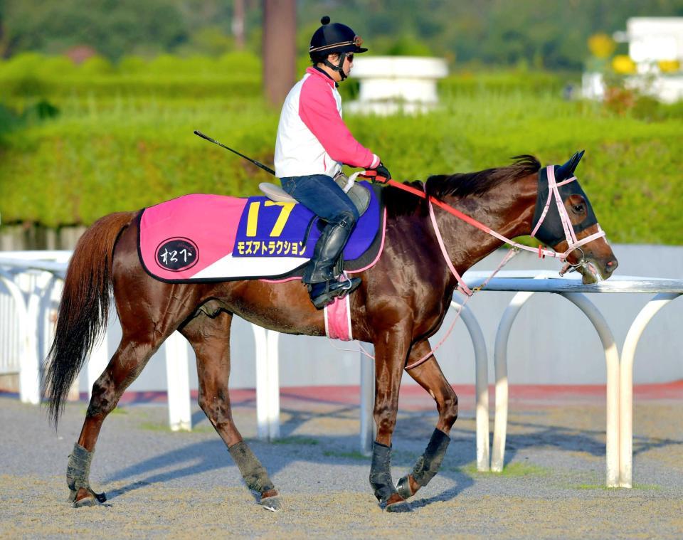 　好ムードを漂わせるモズアトラクション