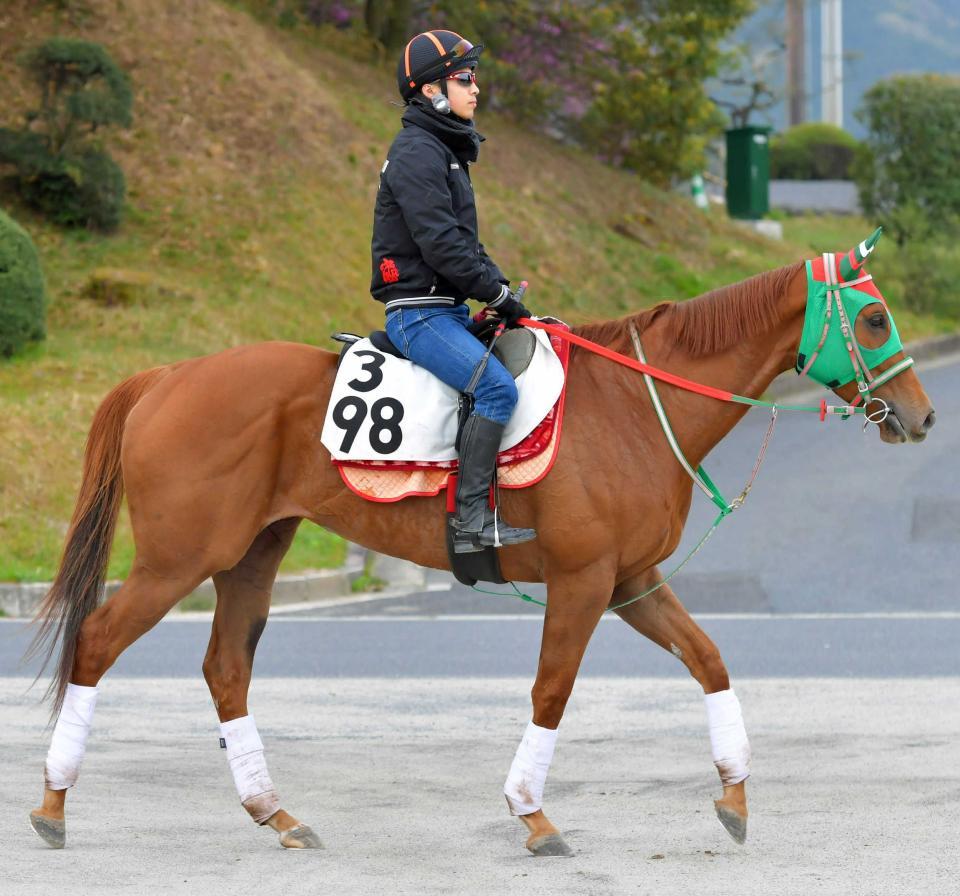 日曜中山の危険な人気馬/競馬・レース/デイリースポーツ online