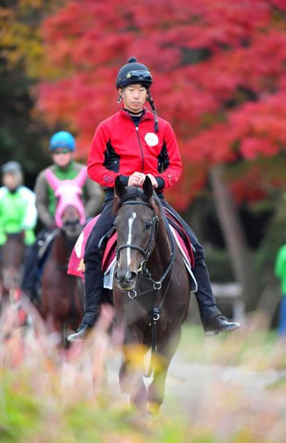 【阪神ＪＦ】リアアメリア無傷でＧ１獲りだ　中内田厩舎は２歳重賞との相性抜群
