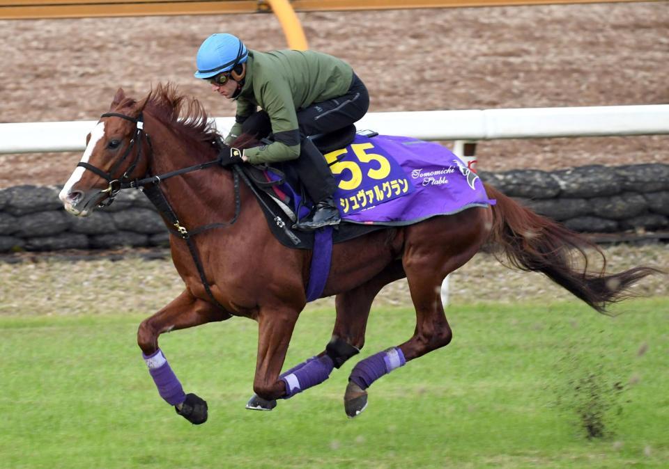 シュヴァルグラン