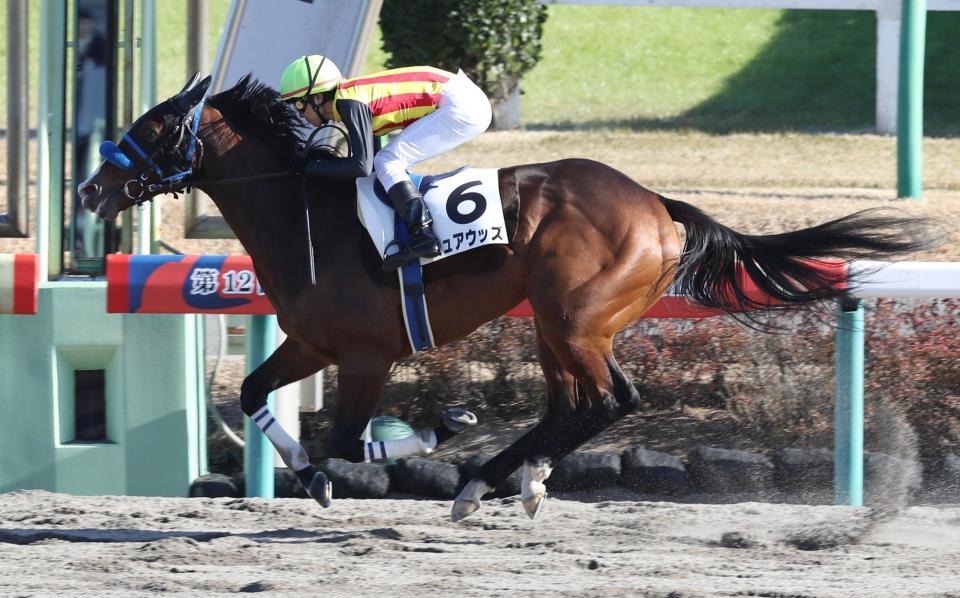 楽々と逃げ切り勝ちを収めたミュアウッズ＝中山競馬場