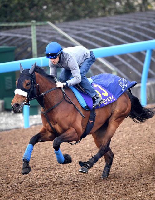 【有馬記念】アーモンドアイ豪快！熱発の不安一掃　ファン投票１位の期待に応える