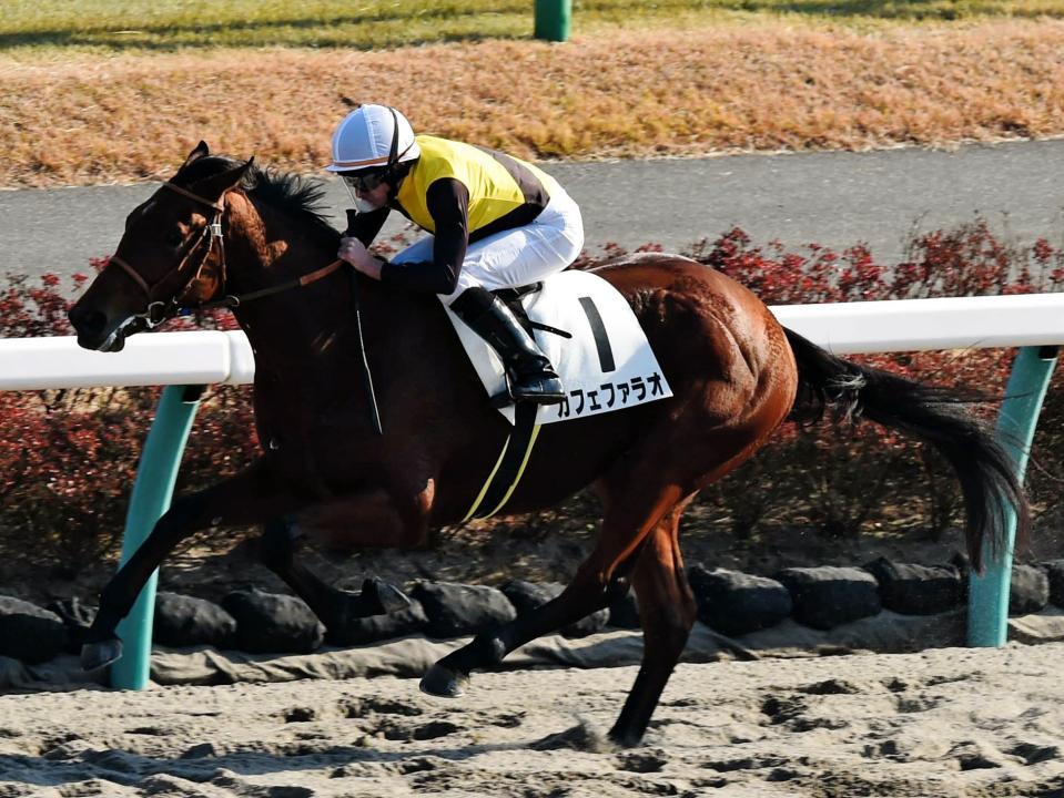 後続に１０馬身差をつけて圧勝したカフェファラオ＝中山競馬場