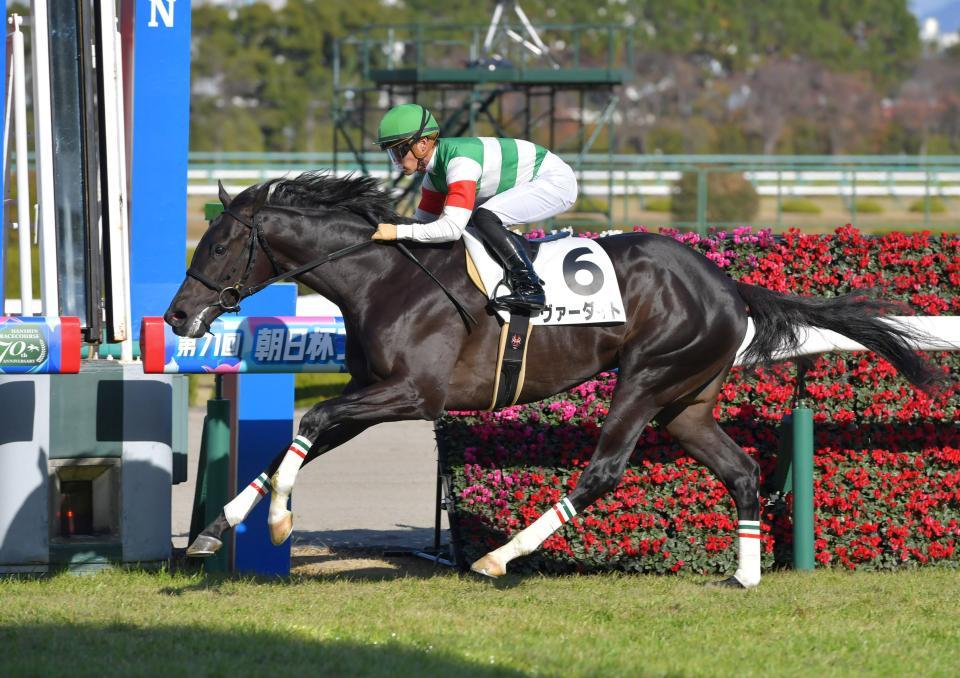 期待通りの勝ちっぷりを見せたヴァーダイト＝阪神競馬場