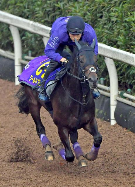 【有馬記念】秋になって急成長！ワールドプレミア 絶好　弾むように登坂