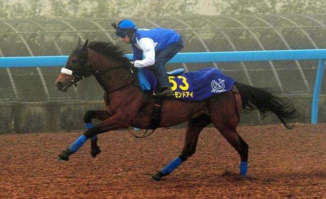 【有馬記念】アーモンドアイ　霧の中３馬身先着！熱発の影響なし　抜群の最終リハ