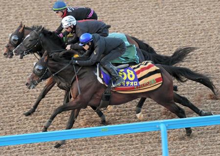 　三浦を背に併せ馬を行ったレイデオロ（手前）＝撮影・三好信也