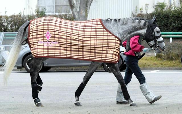 【有馬記念】アエロリット　有終Ｖへデビュー１６年目・津村が初のＧ１制覇で導く