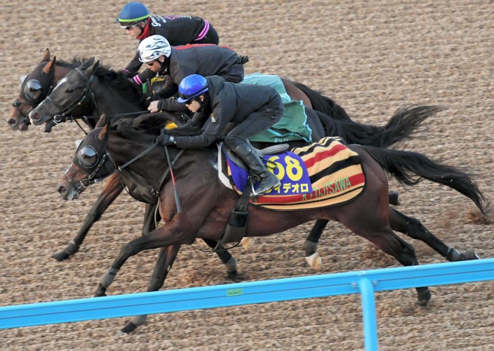 　三浦を背に併せ馬を行ったレイデオロ（手前）＝撮影・三好信也