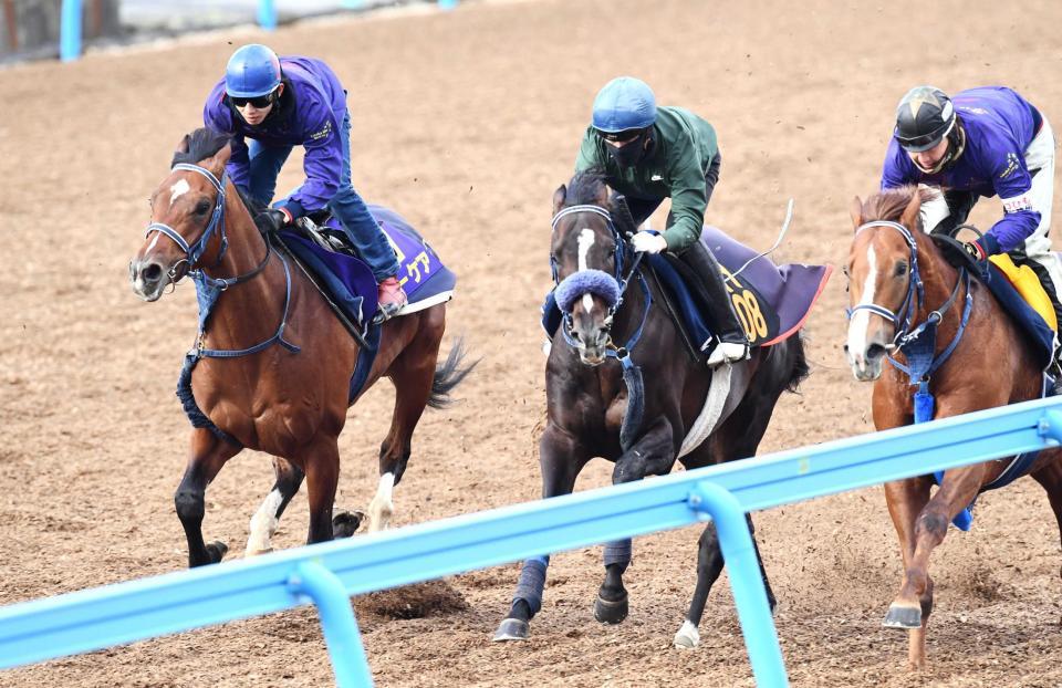 　美浦Ｗで３頭併せを行ったワーケア（左）＝撮影・園田高夫