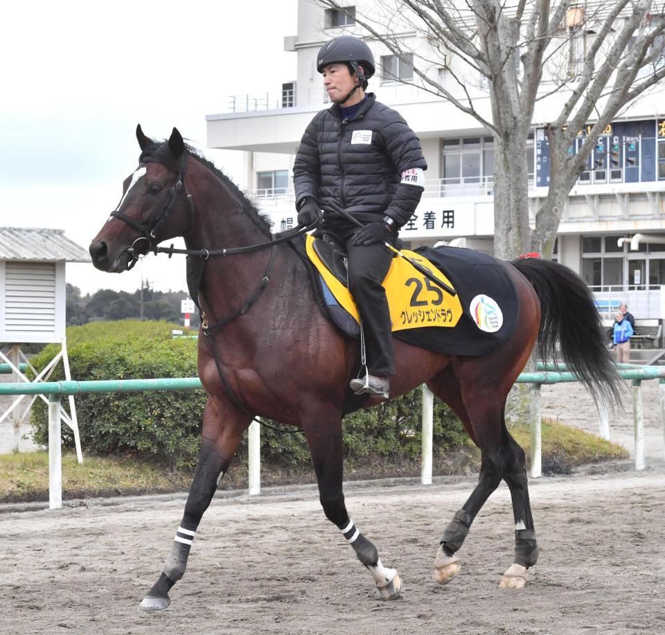 　充実一途のクレッシェンドラヴ