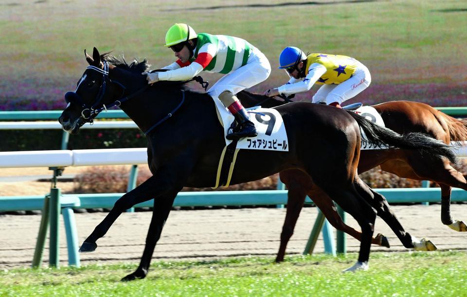 人気に応えて初戦勝ちを飾ったフォアシュピール＝中山競馬場