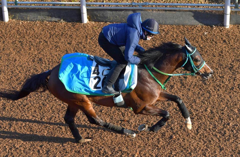 日曜京都の危険な人気馬/競馬・レース/デイリースポーツ online