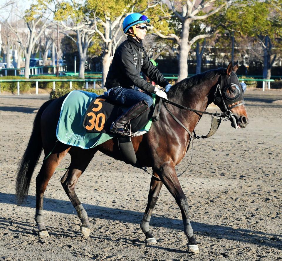 日曜京都の危険な人気馬/競馬・レース/デイリースポーツ online