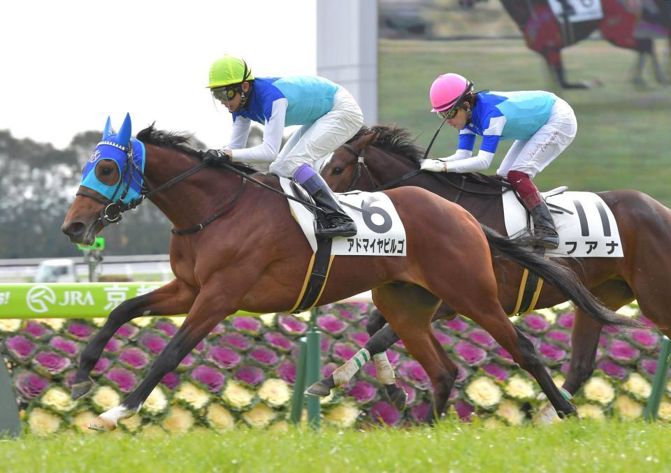 １番人気の支持に応えた高額馬アドマイヤビルゴ＝京都競馬場
