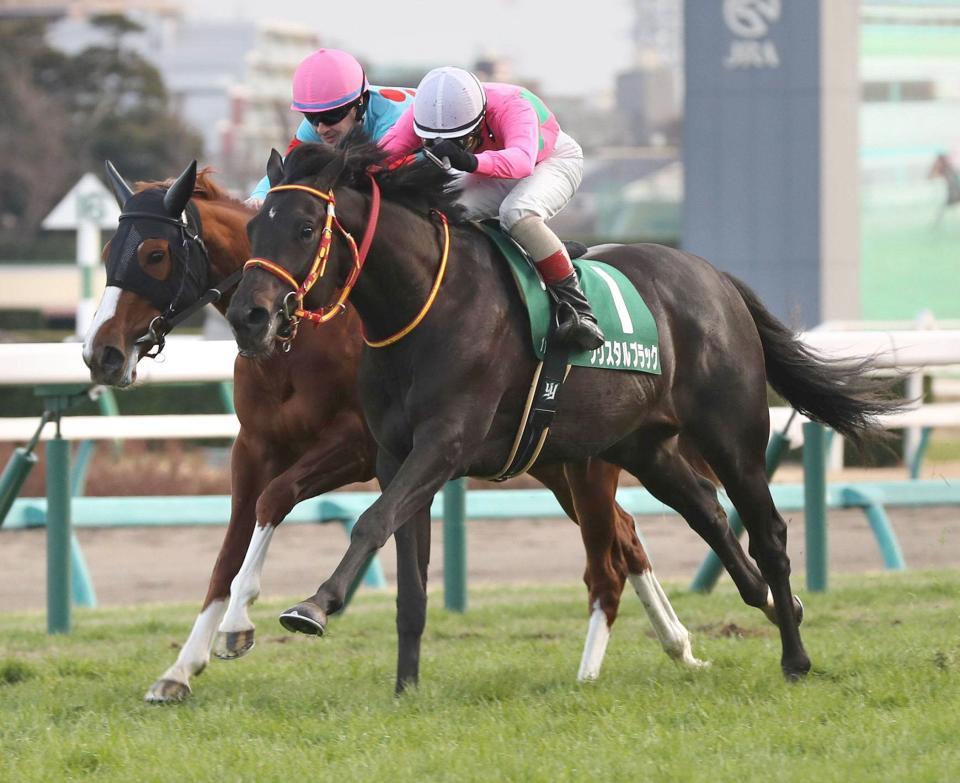 大外一気でライバルを差し切ったクリスタルブラック（左から２頭目）＝中山競馬場