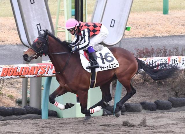 ｐｏｇ 新馬戦総括26日 ヴォートルエロー低評価覆すｖ 外国産馬も接戦制す 競馬 レース デイリースポーツ Online