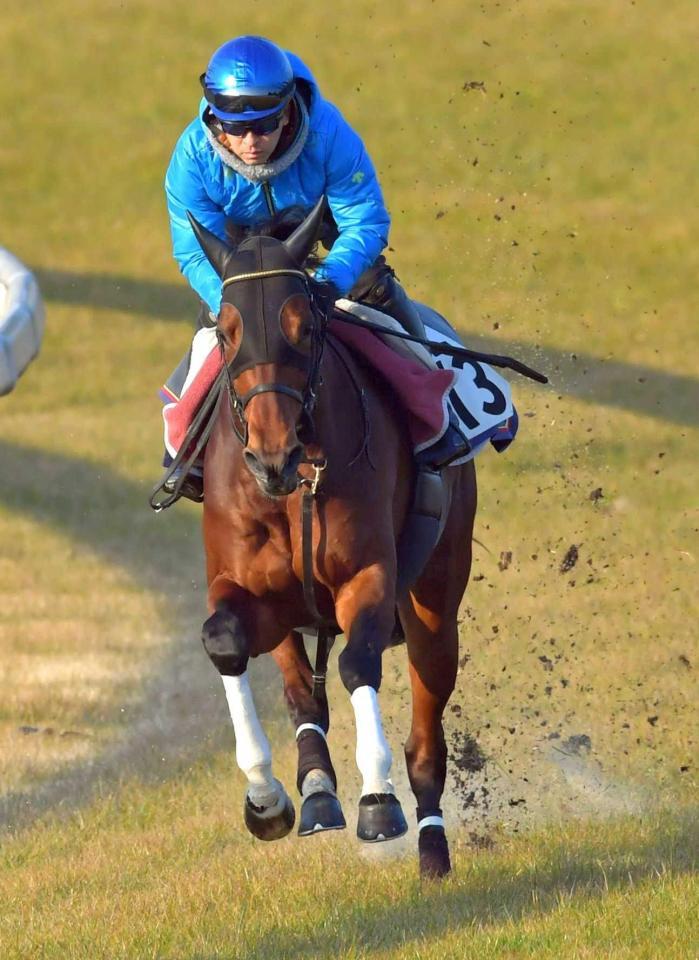 【東京新聞杯】ヴァンドギャルド勢い十分 ユーイチも連覇へ！動きに高評価/競馬・レース/デイリースポーツ online