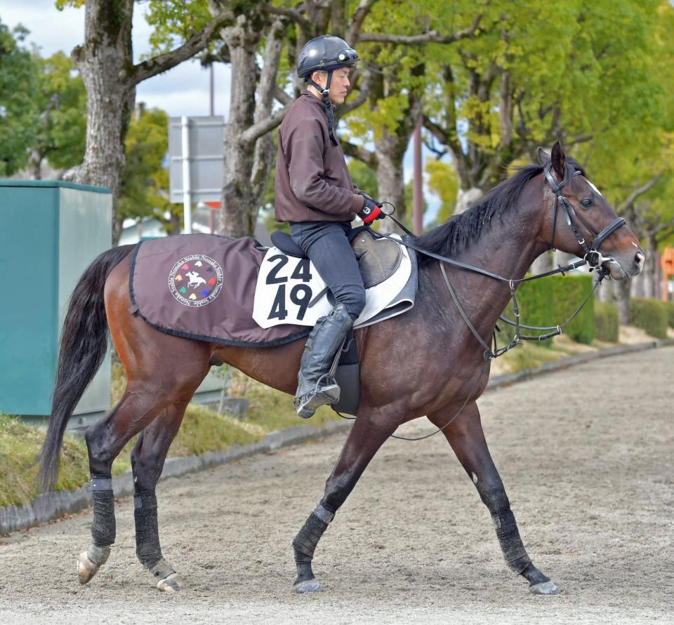 土曜京都の危険な人気馬/競馬・レース/デイリースポーツ online