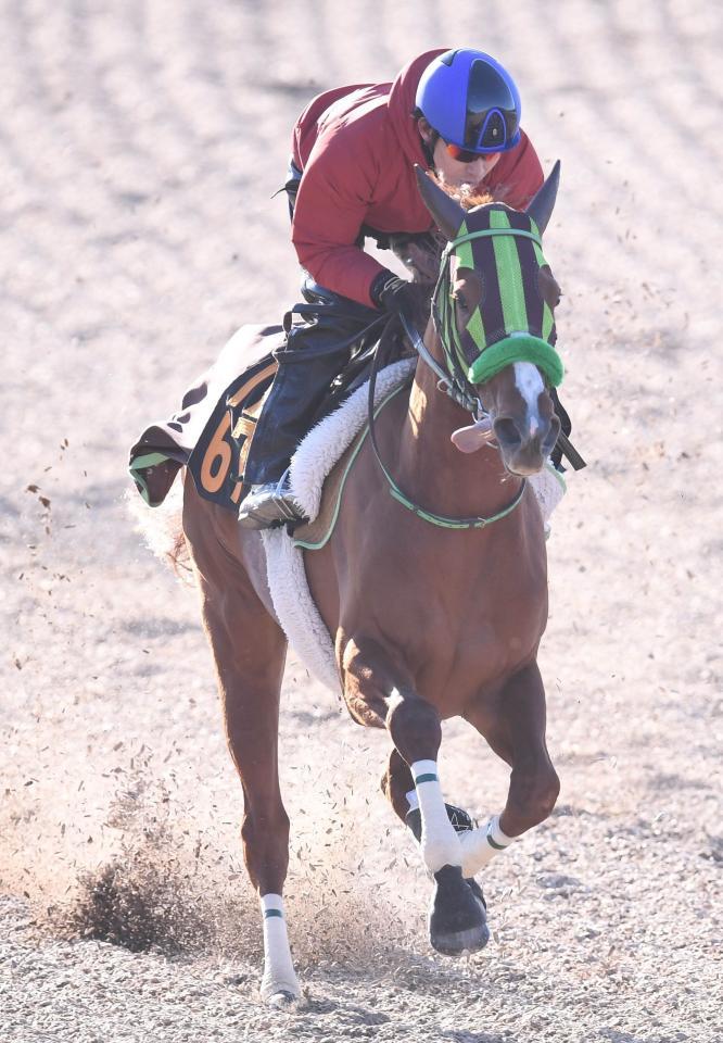 美浦Ｗ併せで追い切ったホウオウピースフル＝美浦トレセン