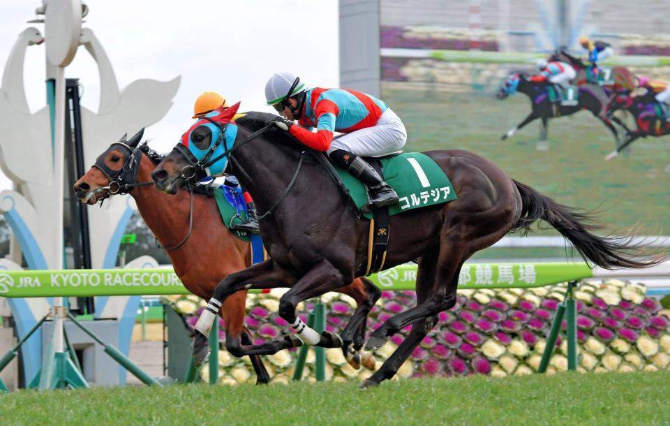 ストーンリッジ（奥）との競り合いを制したコルテジア（撮影・石湯恒介）