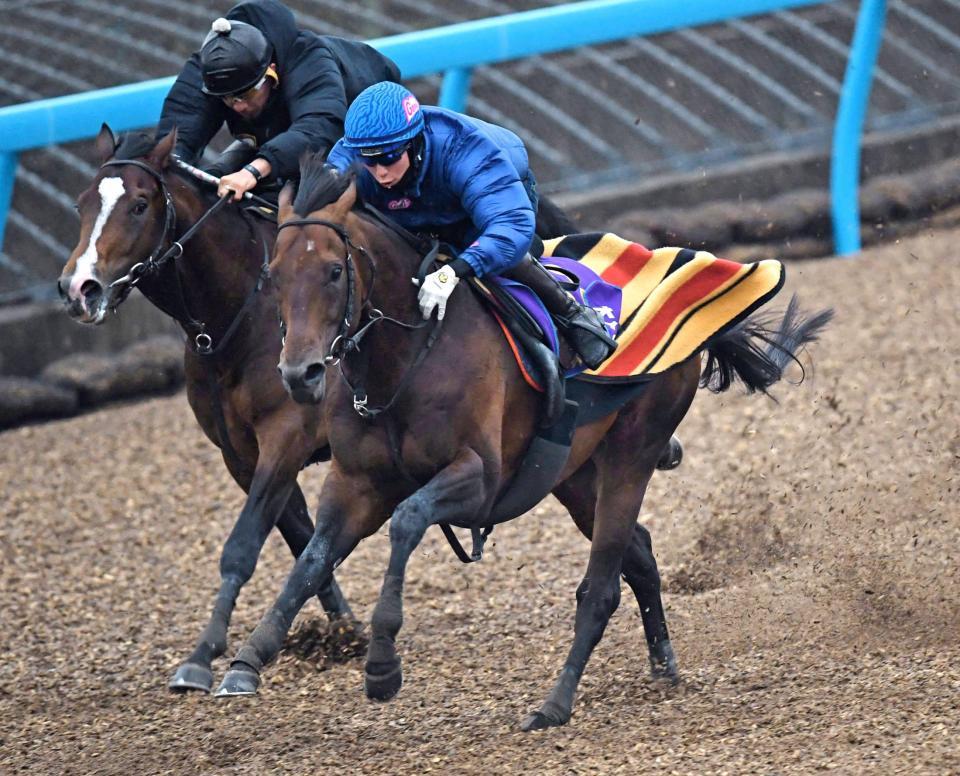 ステルヴィオ（右）