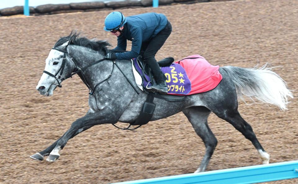 ウインブライト