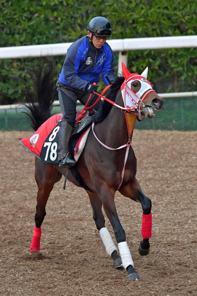 　虎視たんたんと皐月切符を狙うパンサラッサ