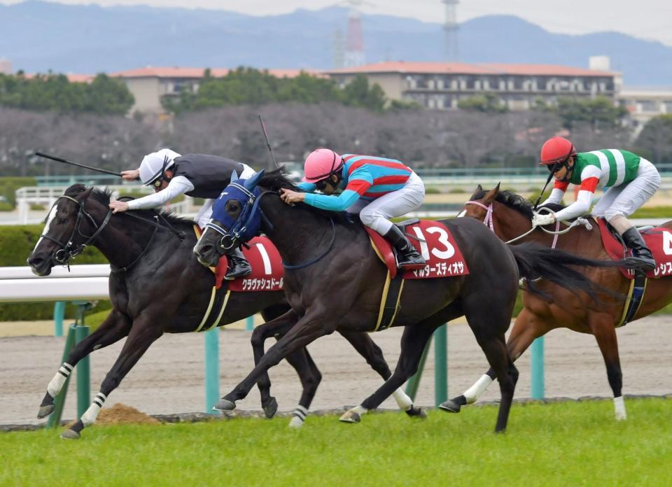 　クラヴァシュドール（左）と競り合うマルターズディオサ（中央）＝撮影・石湯恒介