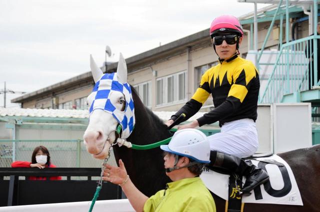 浦和競馬で青い目の馬がデビュー　馬体は鹿毛、顔面は白…結果は？