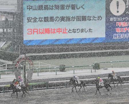 降雪の影響で３Ｒ以降が中止となり引き揚げる競走馬＝中山競馬場（撮影・三好信也）