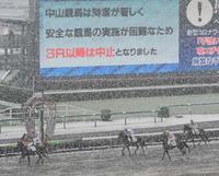 降雪の影響で３Ｒ以降が中止となり引き揚げる競走馬＝中山競馬場（撮影・三好信也）