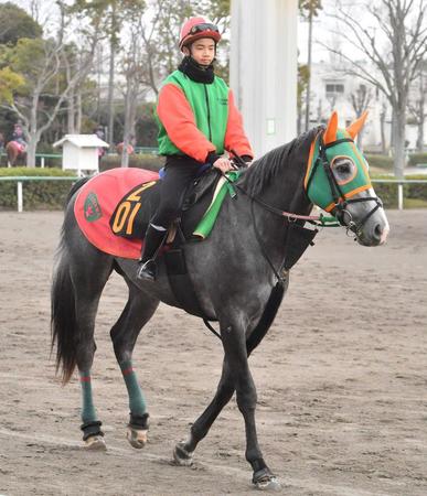 　陣営が素質を評価するエルセンブルグ（撮影・園田高夫）