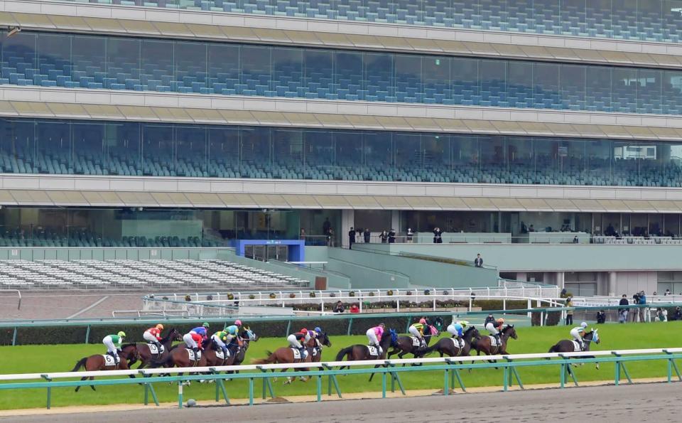 　無観客で実施されたＪＲＡのレース＝２月２９日、阪神競馬場