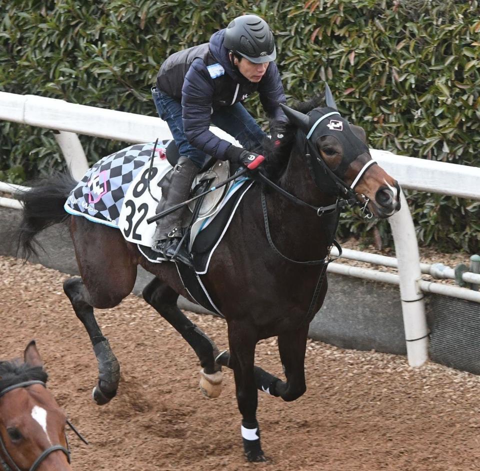 土曜阪神の危険な人気馬/競馬・レース/デイリースポーツ online