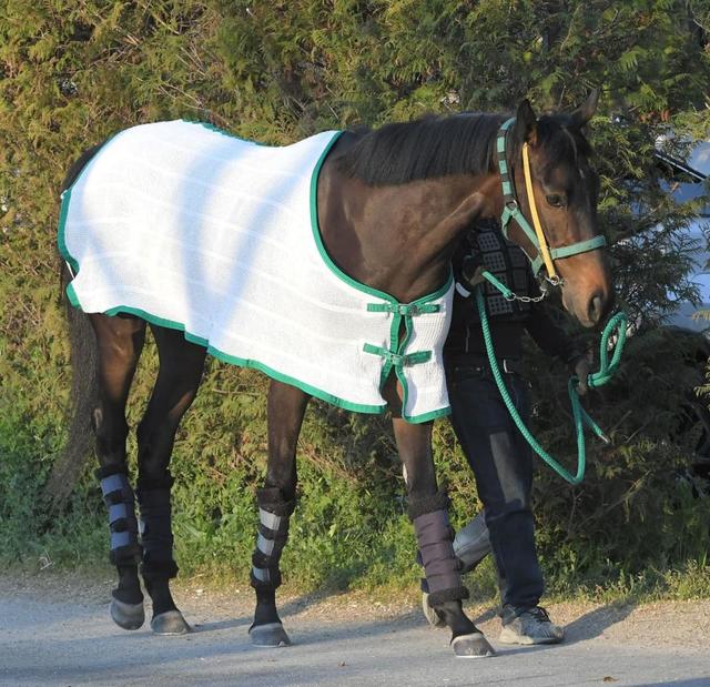 【桜花賞】馬場状態から浮上するのはこの馬だ