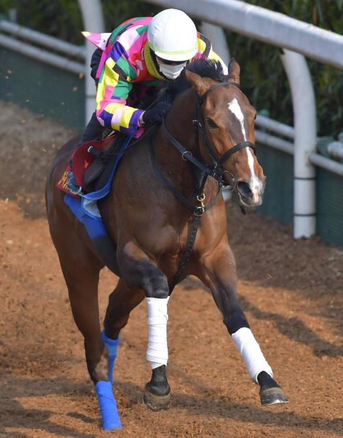 【桜花賞】展開から浮上するのはこの馬だ