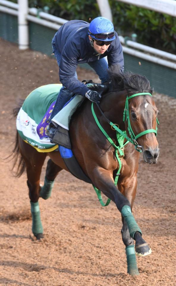 　武豊騎手を背に坂路を駆け上がるキセキ＝栗東（撮影・佐々木彰尚）