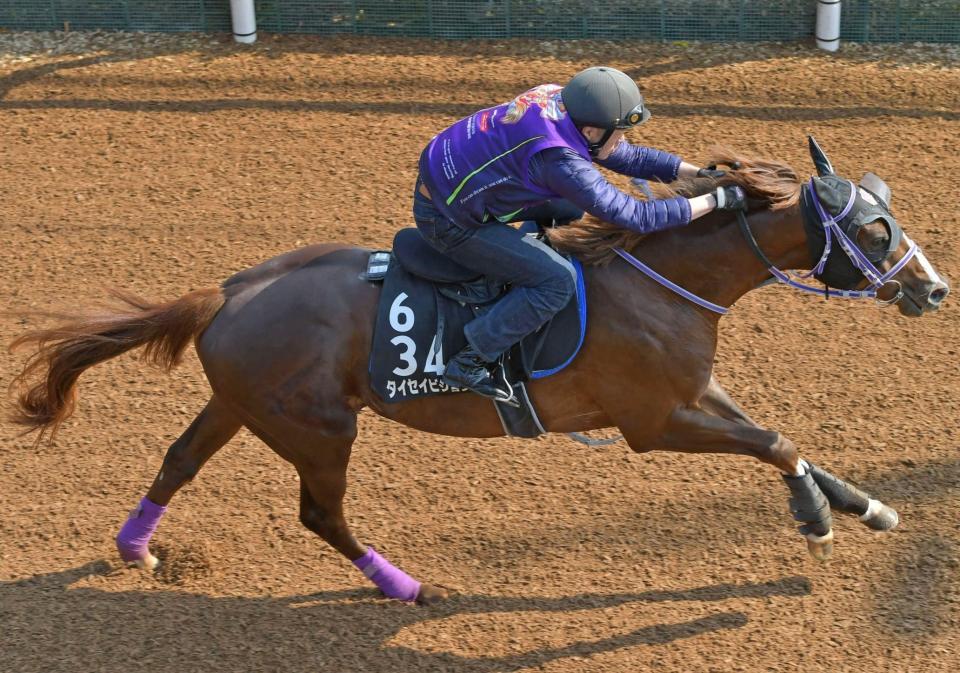 土曜阪神の危険な人気馬/競馬・レース/デイリースポーツ online
